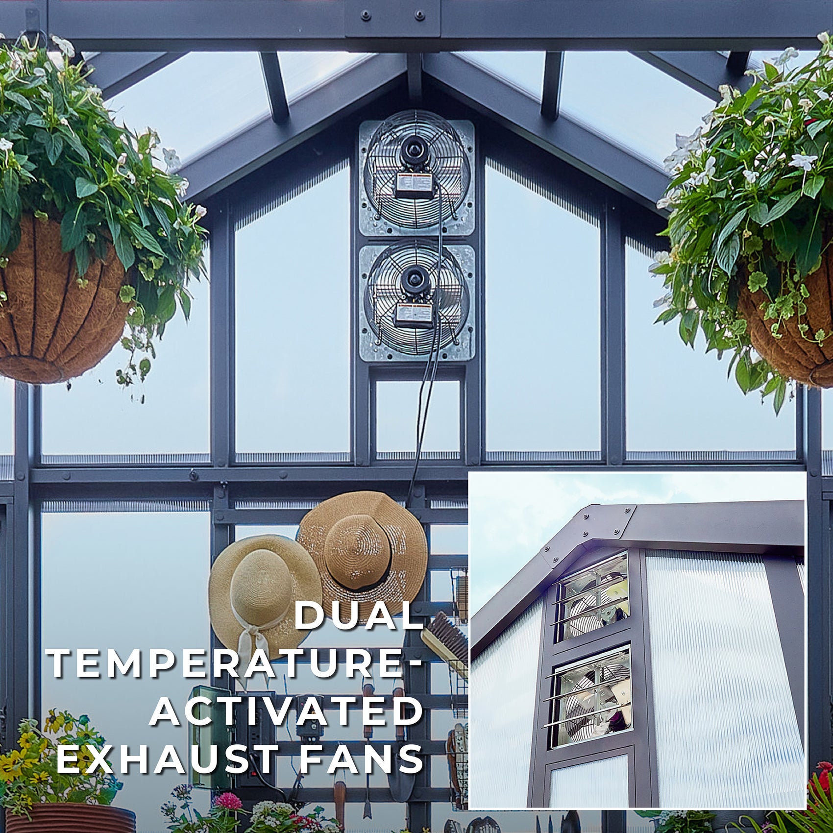 Two thermostat-activated exhaust fans mounted high inside the Larkspur greenhouse kit pull heat out for active ventilation.