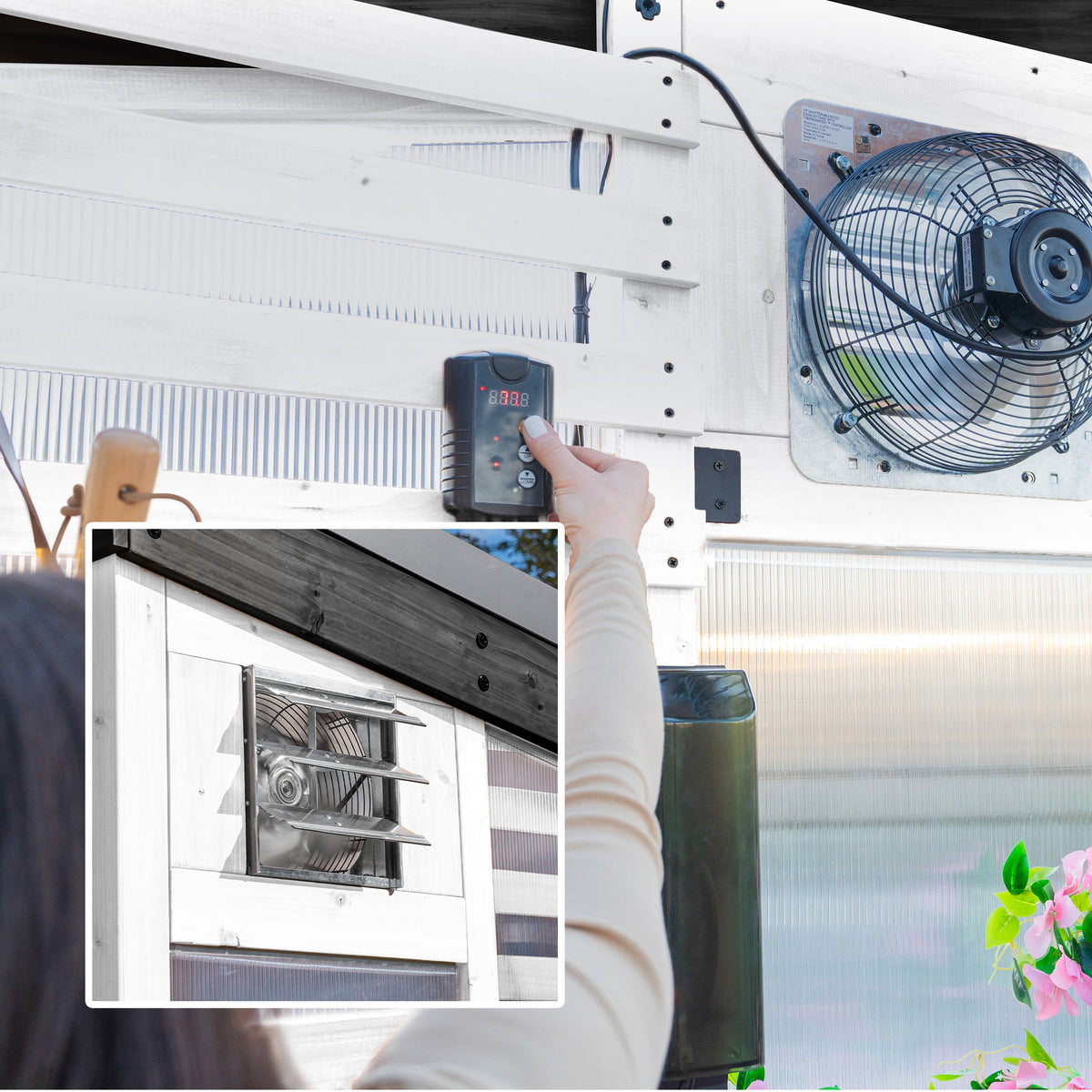 Thermostat exhaust fan mounted on a DIY white-frame greenhouse frame with a woman adjusting the digital controller.