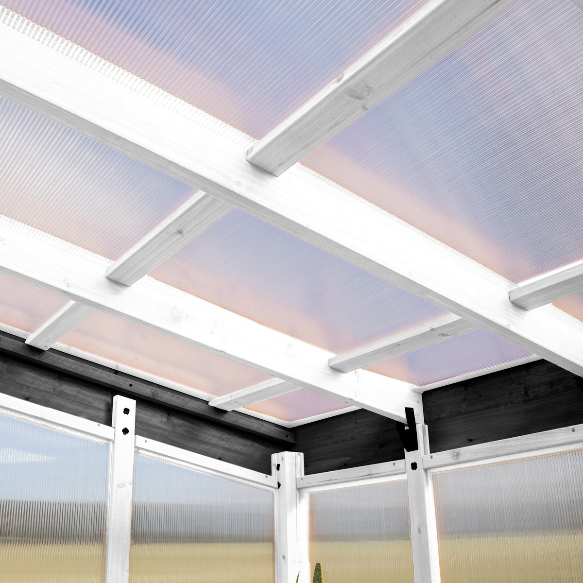 Interior view of a greenhouse roof with white powder-coated aluminum rafters and 4-wall polycarbonate panels.