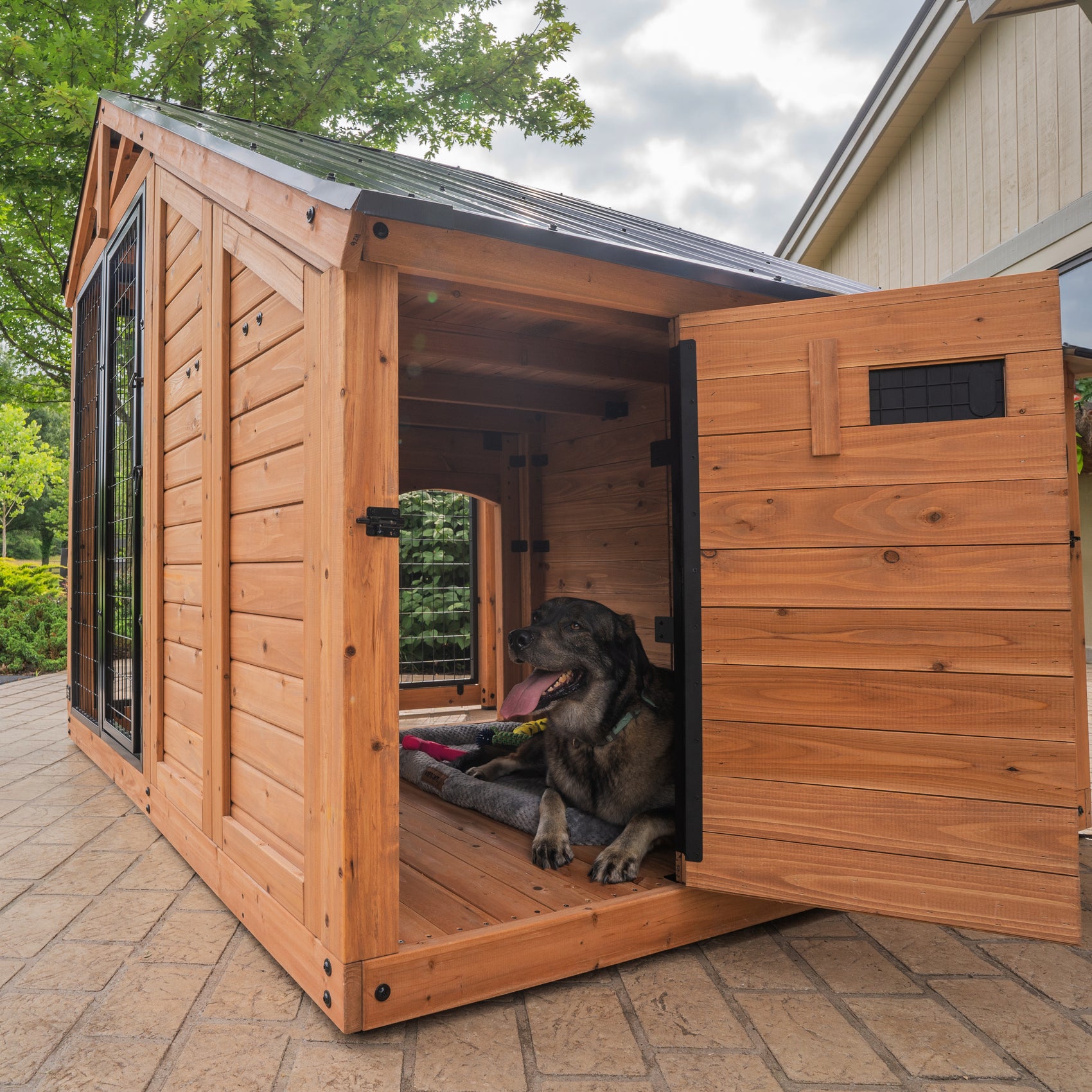 Animal Enclosure