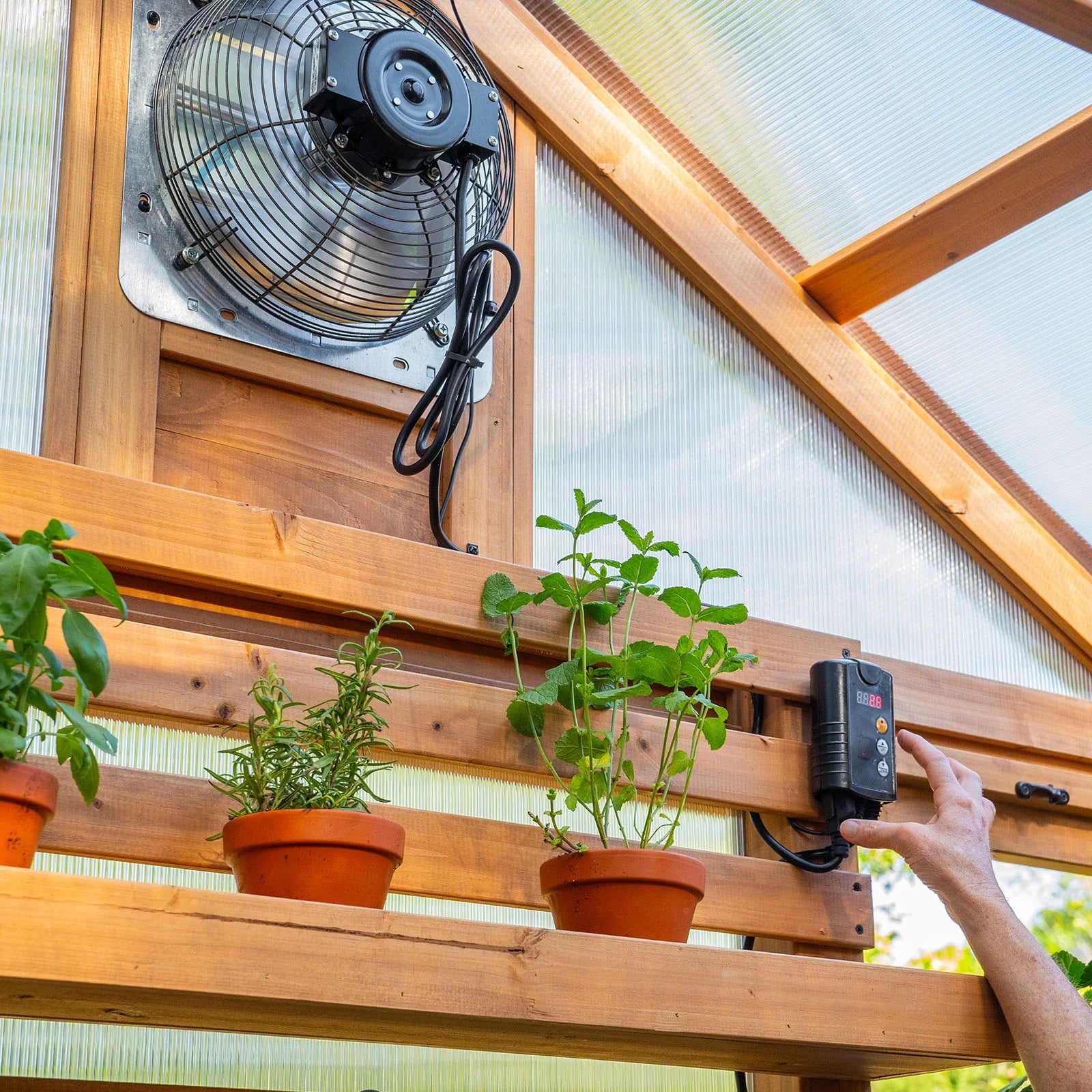 small Exhaust Fan in green house.