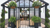 Larkspur greenhouse kit walk through video showing interior with staging shelves, gardening tools, potted plants.