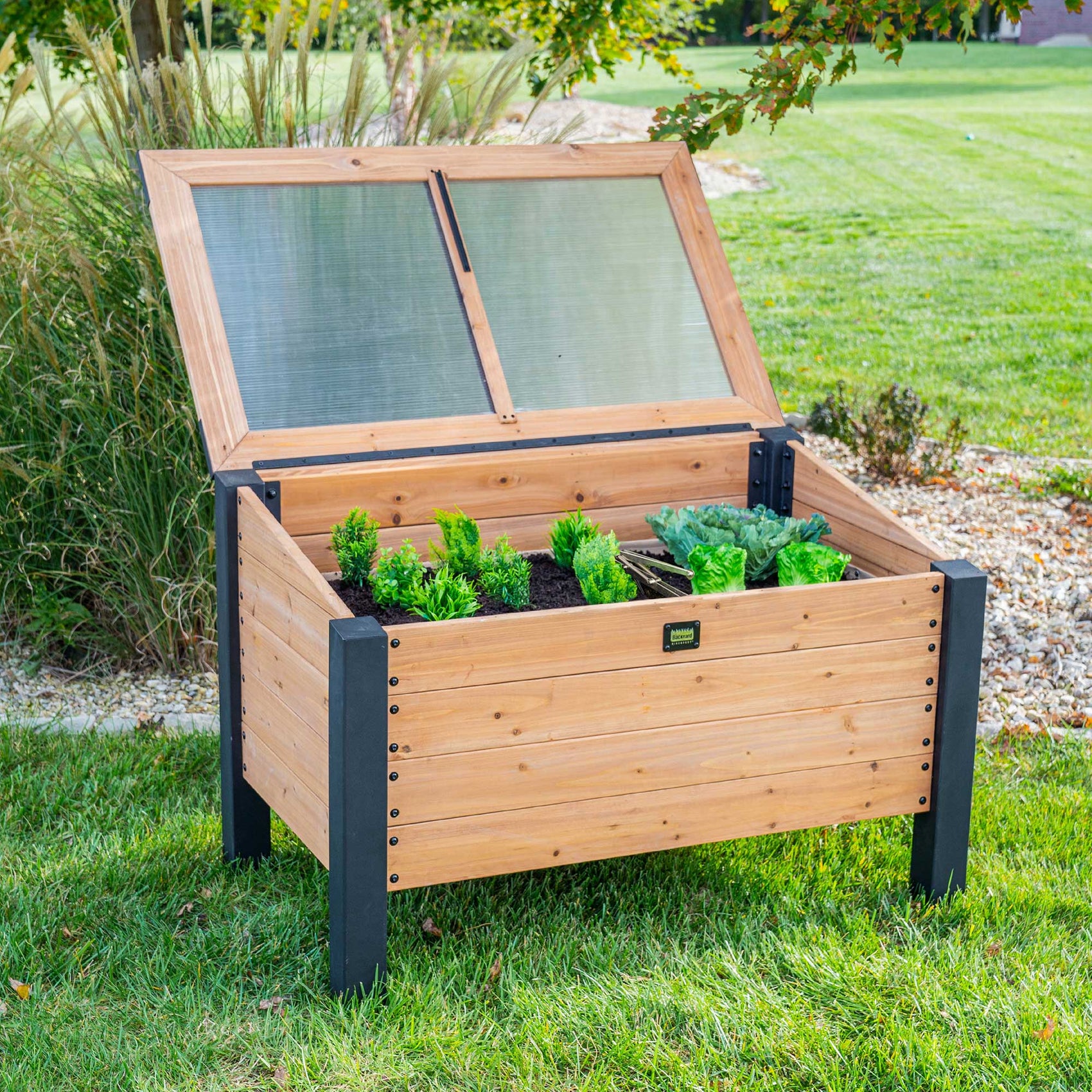Aggie Cedar Cold Box Open Lid