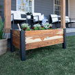 
                            
                              Load image into Gallery viewer, Teak Planter with Flowers
                            
                          